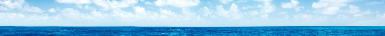 banner-image